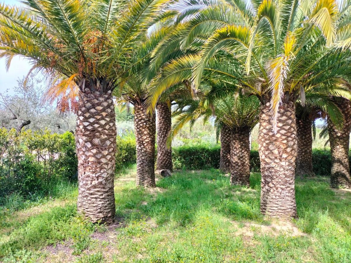 Le Palme Appartement Ortona Buitenkant foto