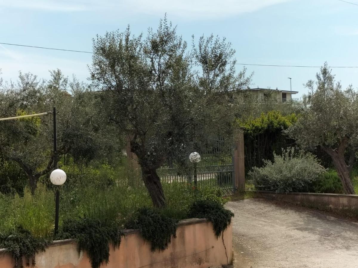 Le Palme Appartement Ortona Buitenkant foto