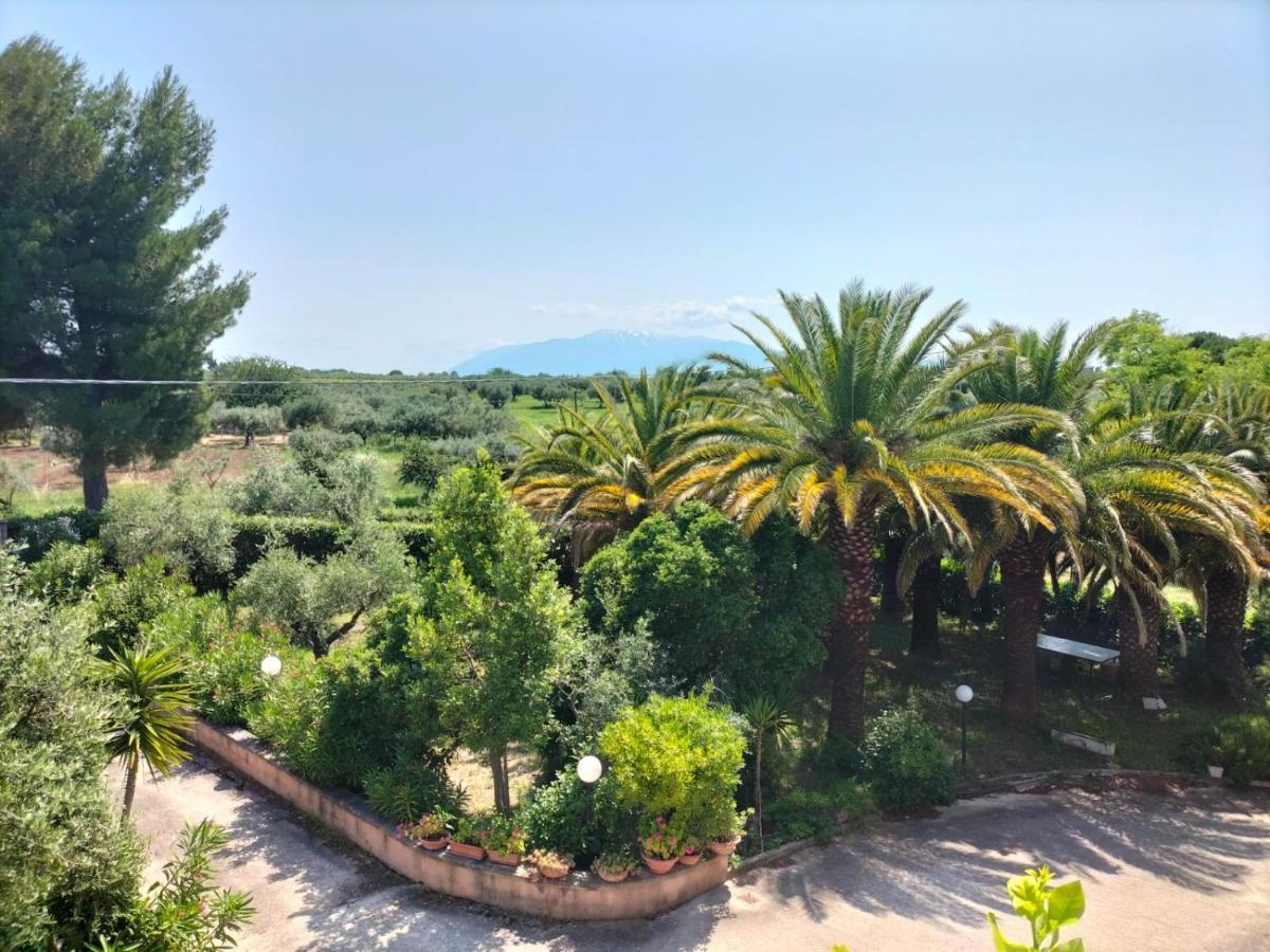 Le Palme Appartement Ortona Buitenkant foto